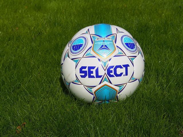 莎与日本选 莎与日本选