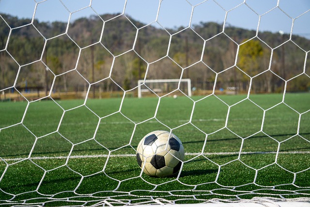 分榜的前两 分榜的前两