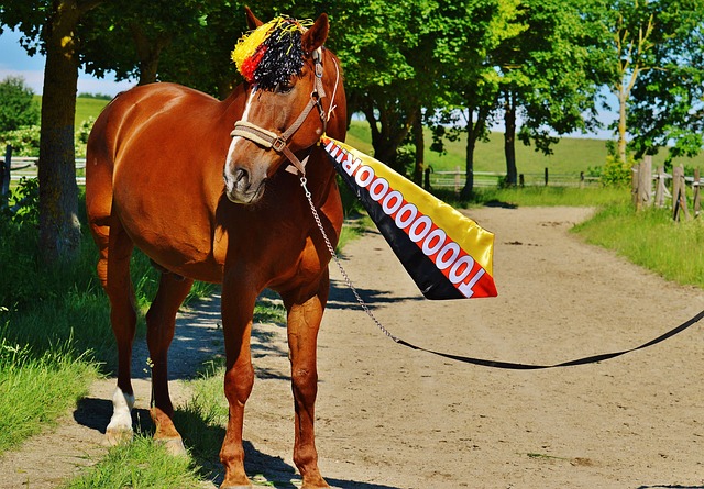 个人打法倾 个人打法倾